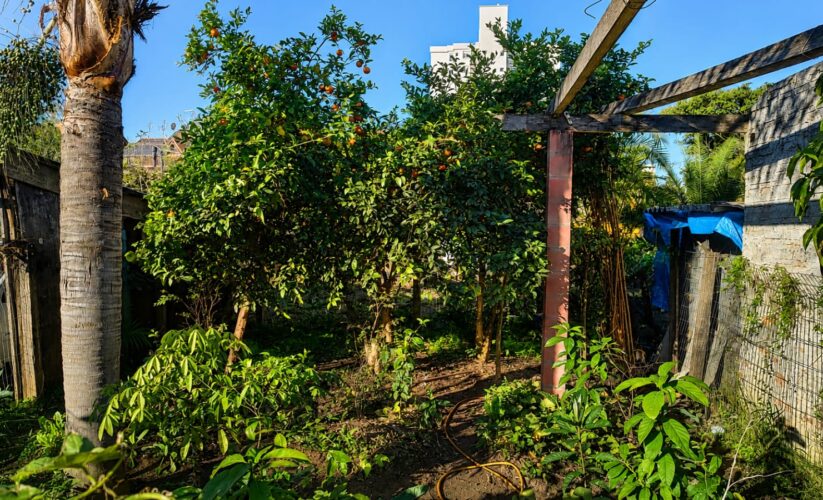 O Quilombo Chácara das Rosas e a Receita que ninguém escreveu