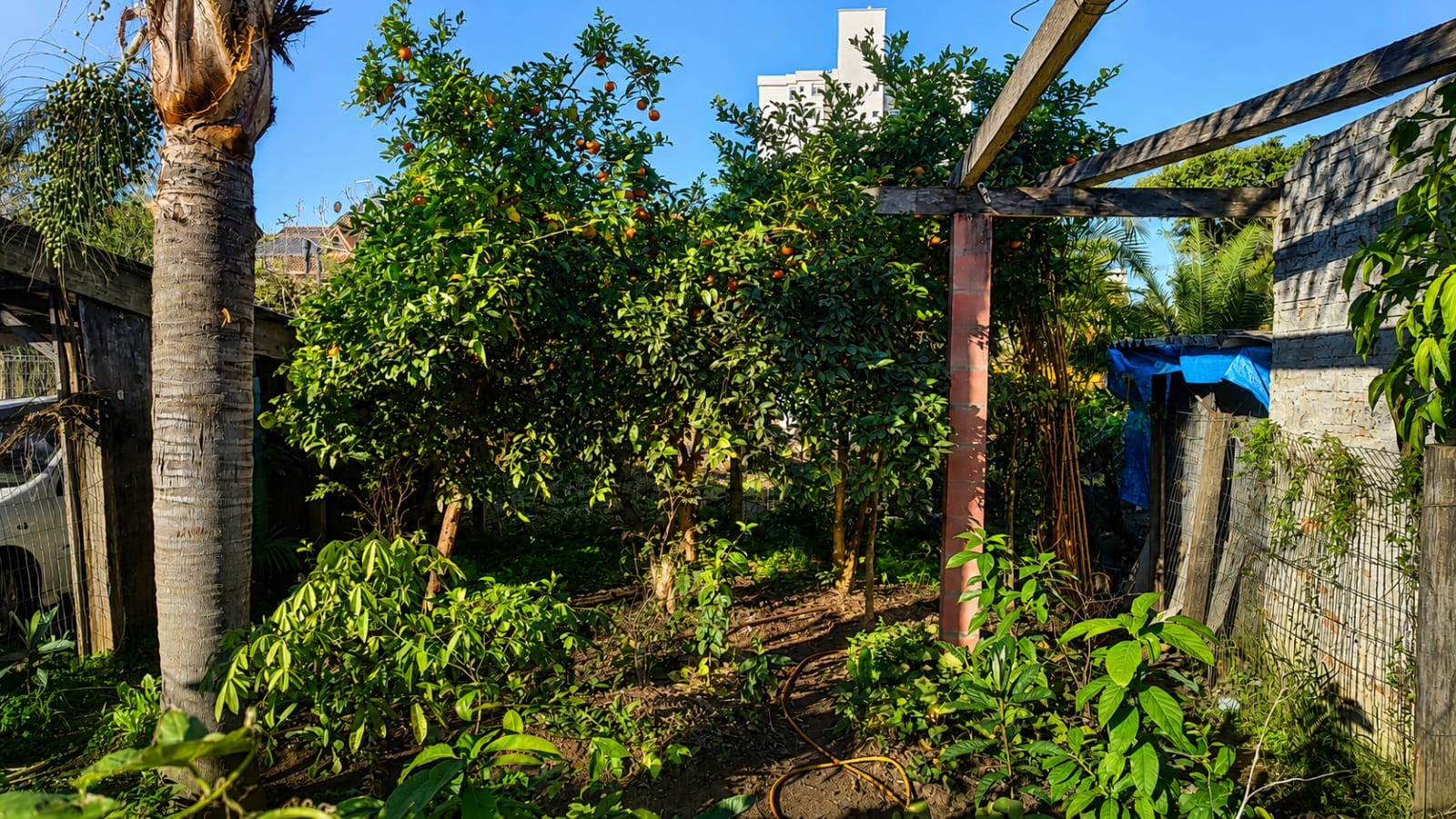 O Quilombo Chácara das Rosas e a Receita que ninguém escreveu